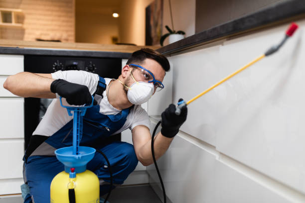 Best Local Pest Control Services  in Greenfield, CA