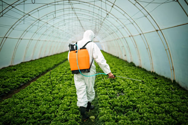 Best Mosquito Control Services  in Greenfield, CA