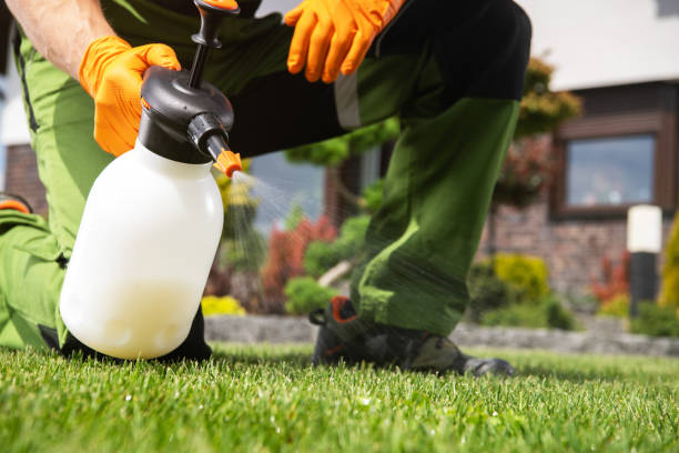 Best Bird Control  in Greenfield, CA