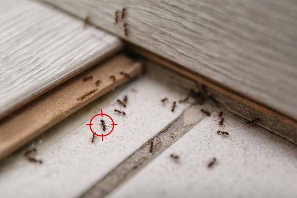 Best Pest Prevention Services  in Greenfield, CA