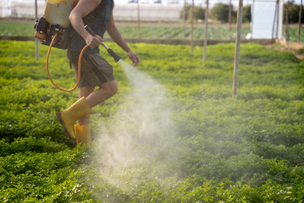Best Pest Inspection Near Me  in Greenfield, CA