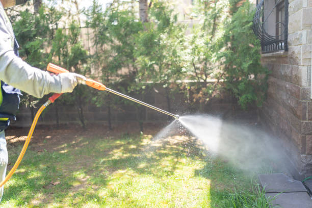 Best Pest Control Near Me  in Greenfield, CA