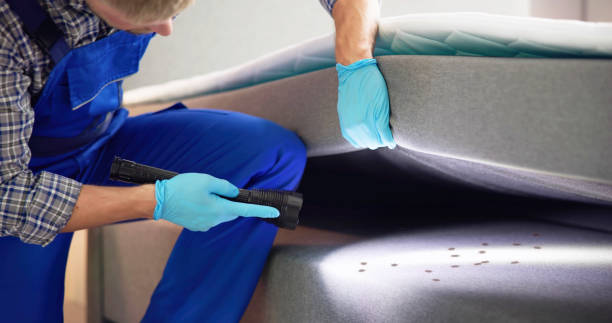 Trusted Greenfield, CA Pest Control Experts