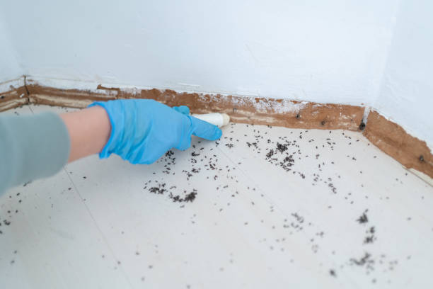 Best Best Pest Control Companies  in Greenfield, CA