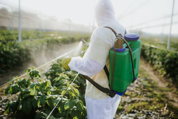 Best Affordable Pest Control Services  in Greenfield, CA